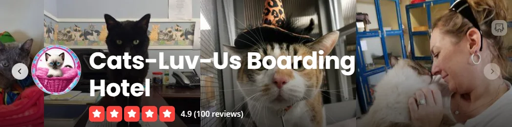Cats Luv Us Boarding Hotel highly rated on Google and Yelp for cat boarding in Laguna Niguel