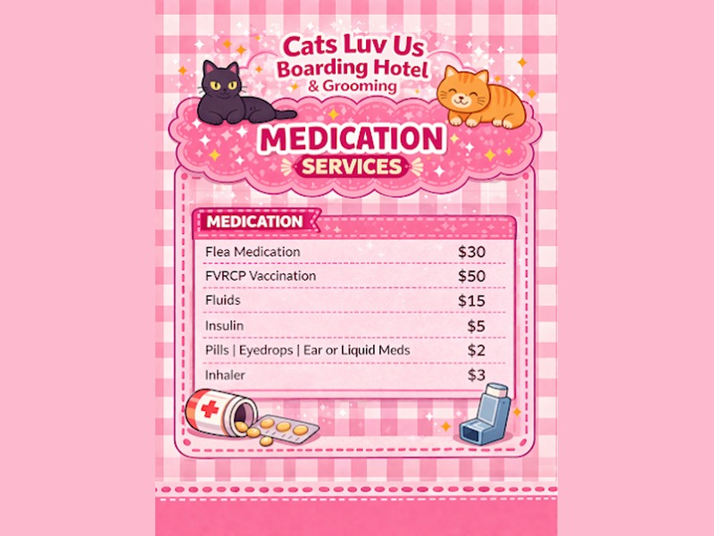 Medication services menu for insulin pills and topicals at Cats Luv Us cat boarding hotel
